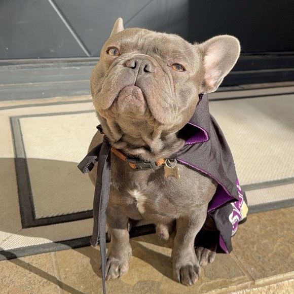 Meet your Posher - Picture 1 of 16